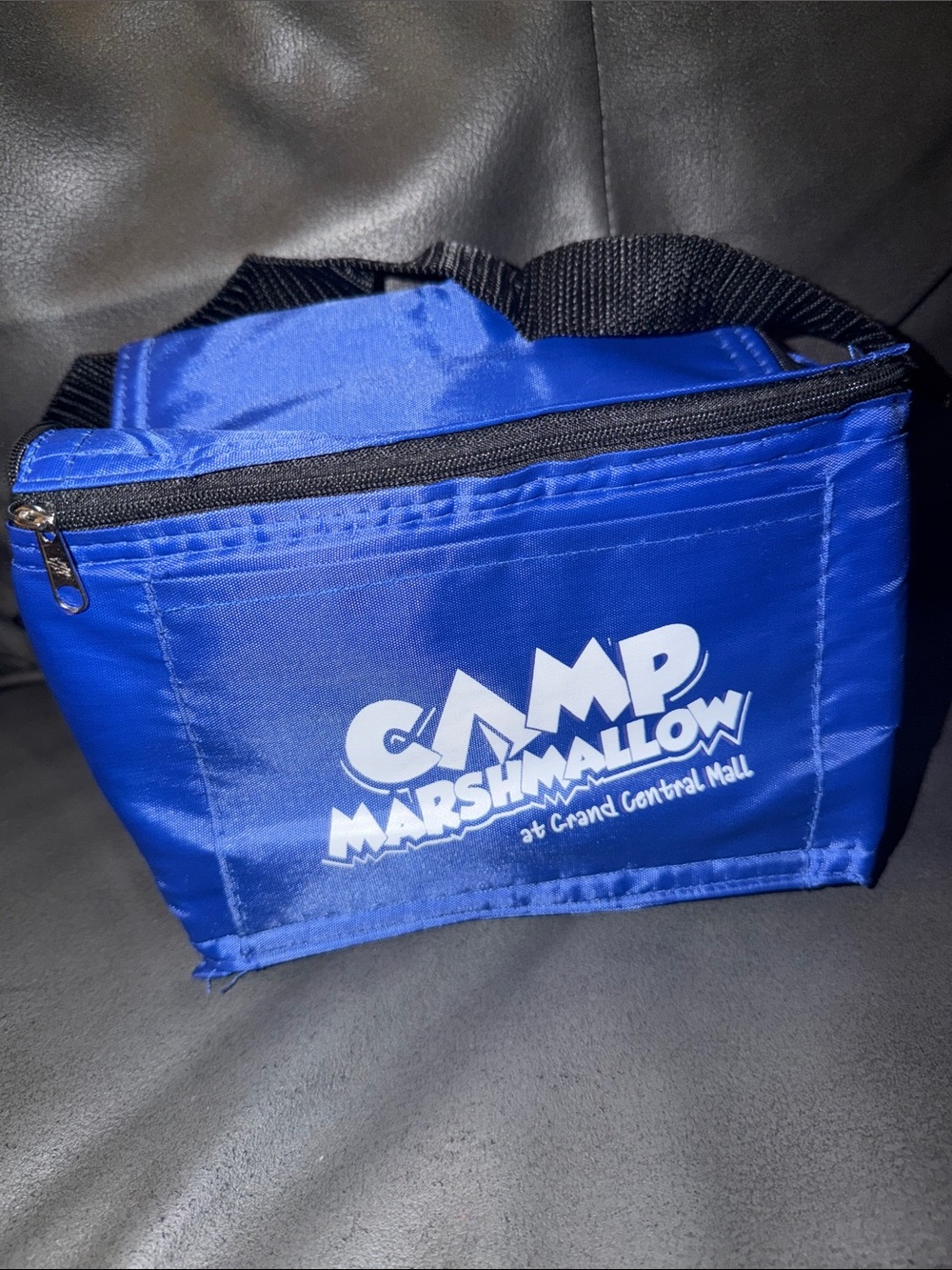 Camp marshmallow central mall rare new unisex kid Blue Insulated Lunch Bag